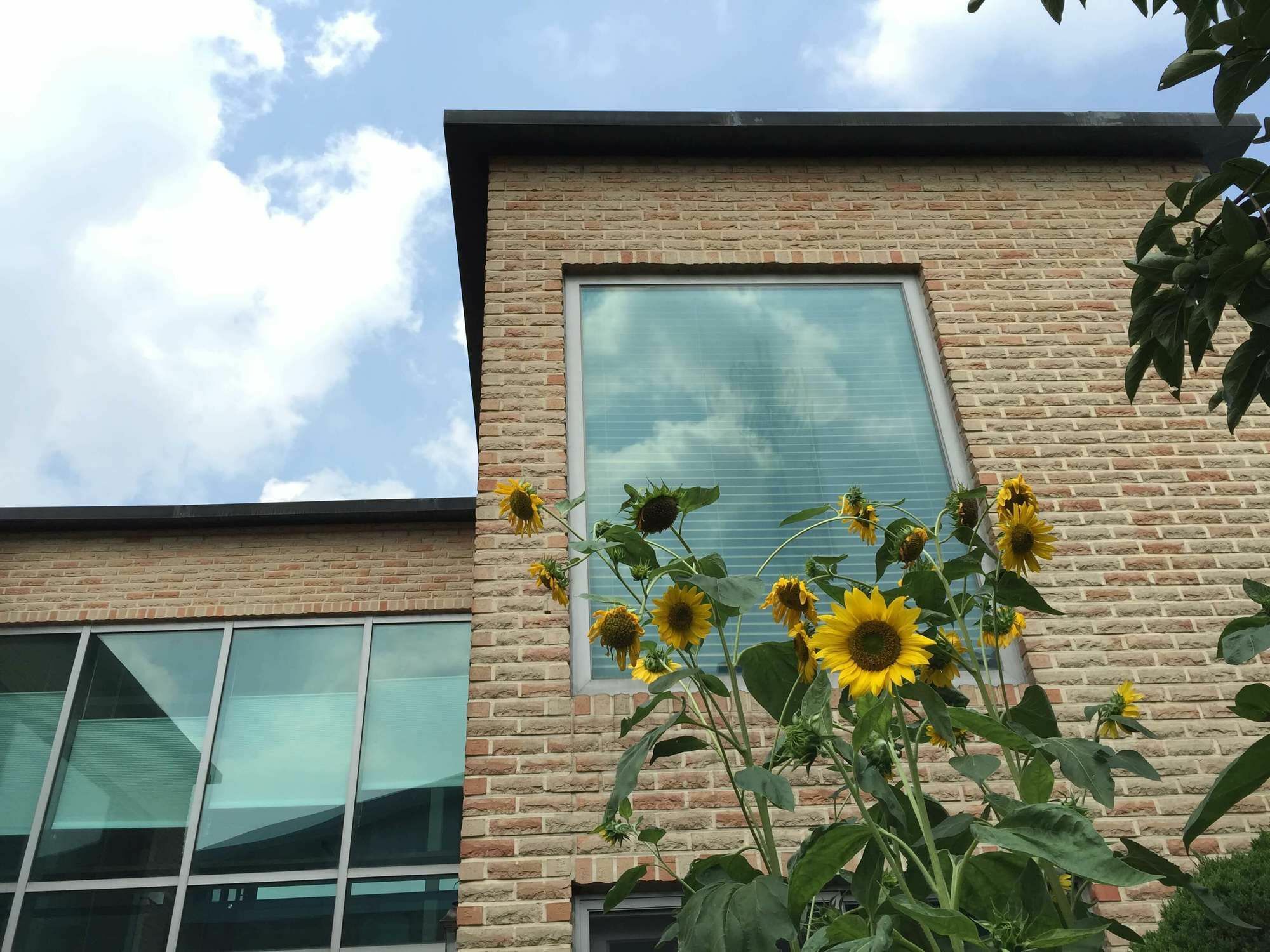 Puzzlestay House Seul Zewnętrze zdjęcie